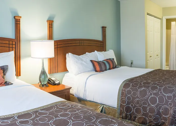 Hotel Staybridge By Ihg 3*